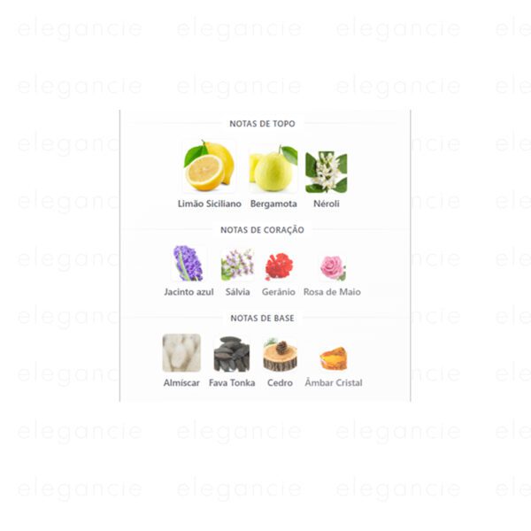 Versus Pour Homme - In The Box